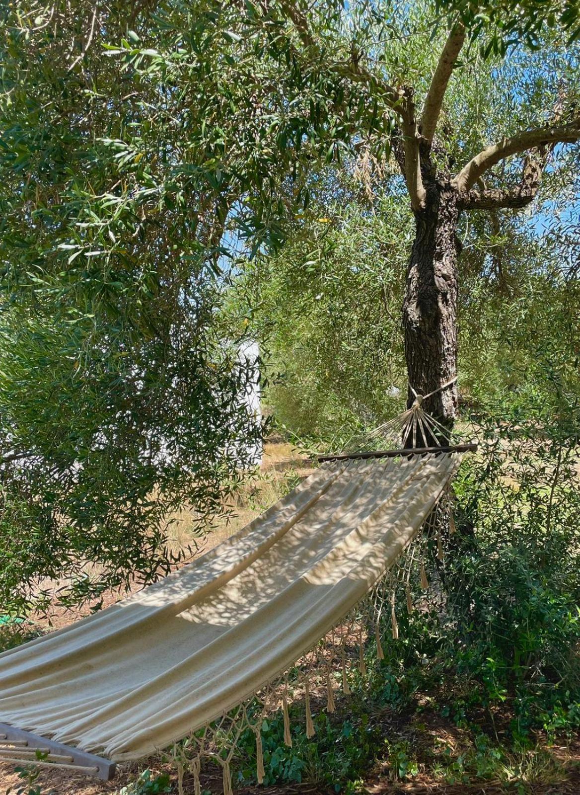 Calle Higinio Capote Arcos de la Frontera Esterno foto